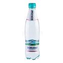 Picture of Mineral Water Borjomi Plastic 0.5L (Case=12)